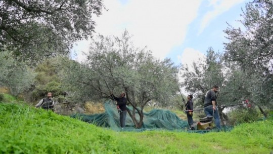 ΟΠΟΥ_ΥΠΑΡΧΕΙ_ΕΛΛΑΔΑ_19.02_.25_(12)_.jpg