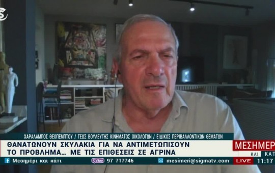 Μεσημέρι  09.07.26