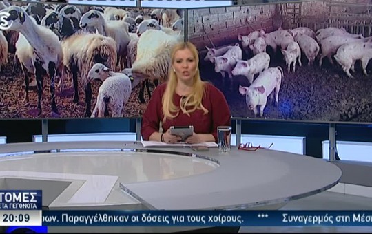 Ειδήσεις  27.02.26