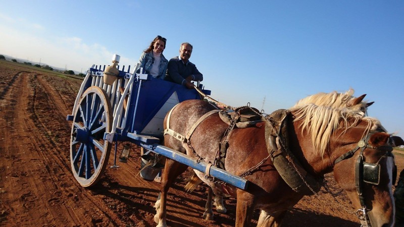 Προορισμός Ευτυχία - Σάββατο 17 Δεκεμβρίου